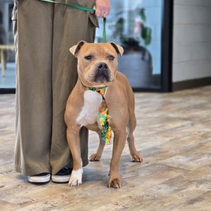 Ralphie, Adult Male unknown