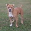 Ralphie photo 3