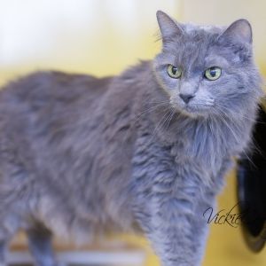 sally, Senior Female unknown
