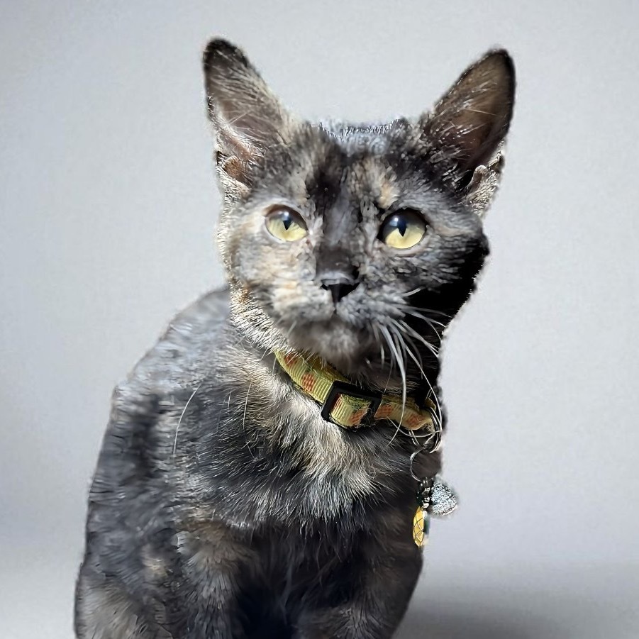 Hazel
