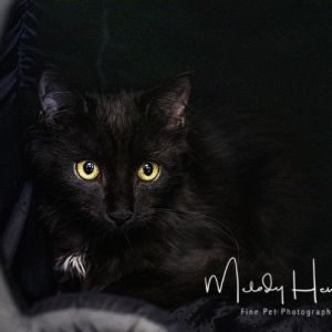 Trouble Maker, Young Male unknown