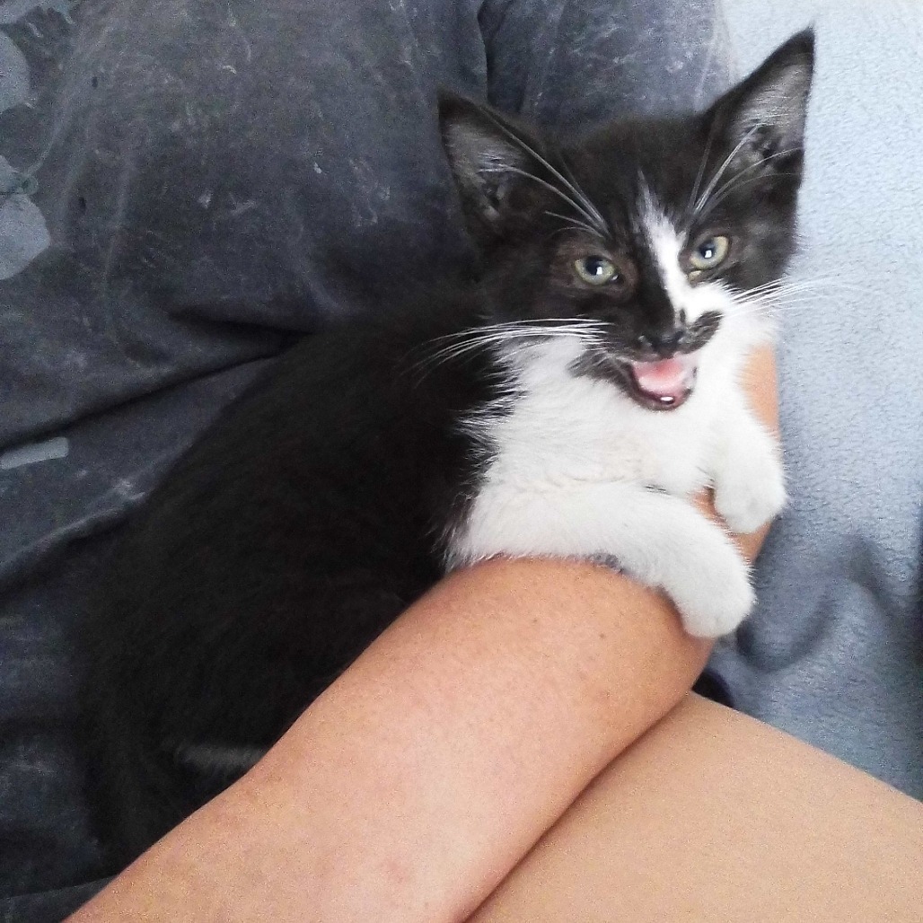 Baby