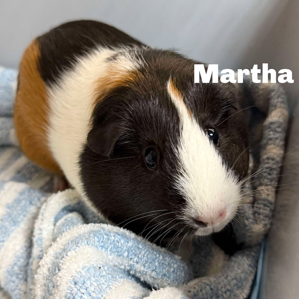 Martha 250627