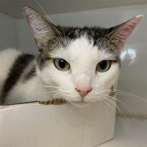 Meet Rosie Shes a 3-year-old foodie with a heart full of love Rosie enjoys daily exercise through