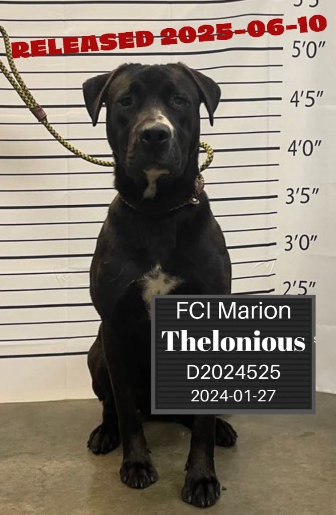 Thelonious