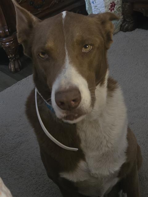 BILLY