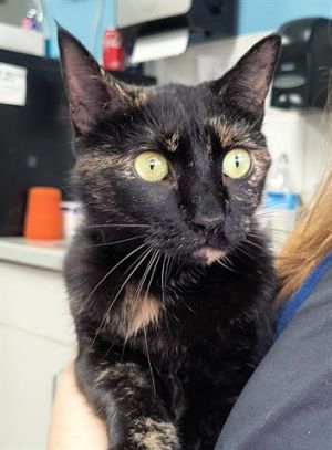 EDWINA, Young Female unknown