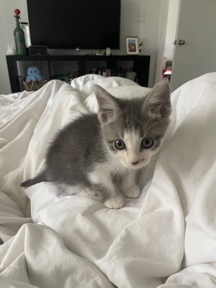 Kiki