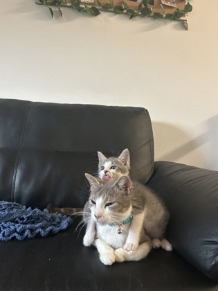 Kiki
