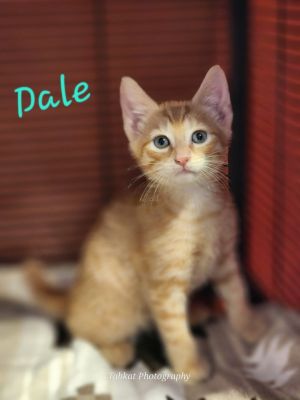 Dale, Baby Male unknown