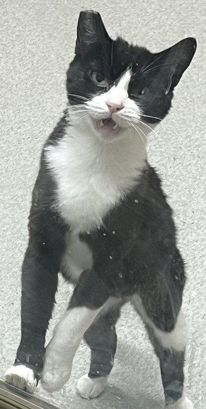 Quinn