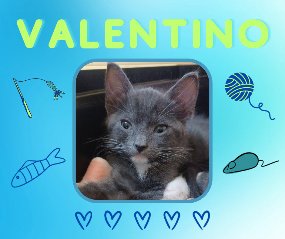 Valentino