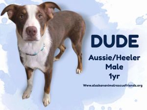 Dude, Adult Male unknown