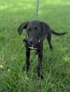 Stella photo 6