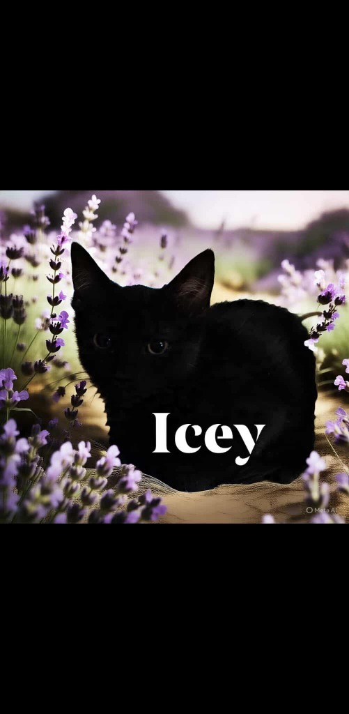 Icey