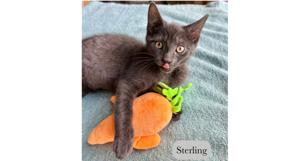 Sterling