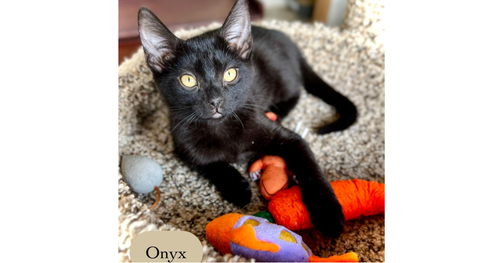 Onyx