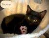 Tootsie photo 5