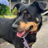 Mahina photo 1