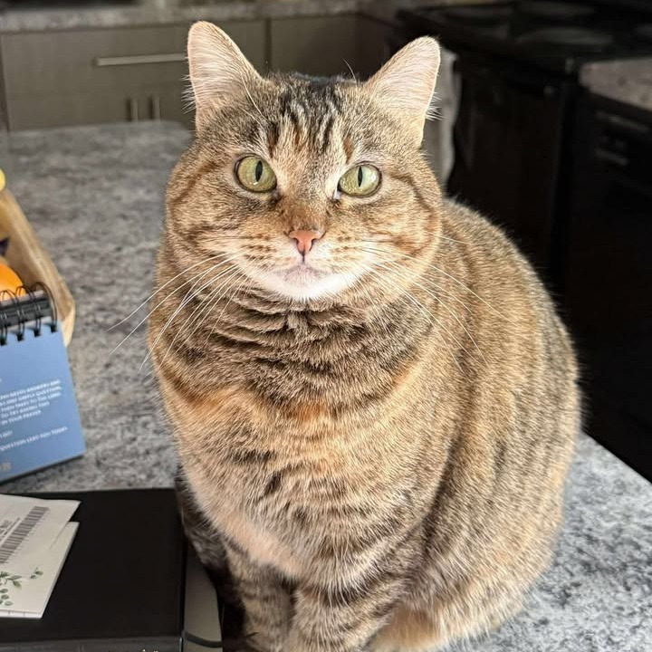 Snickers