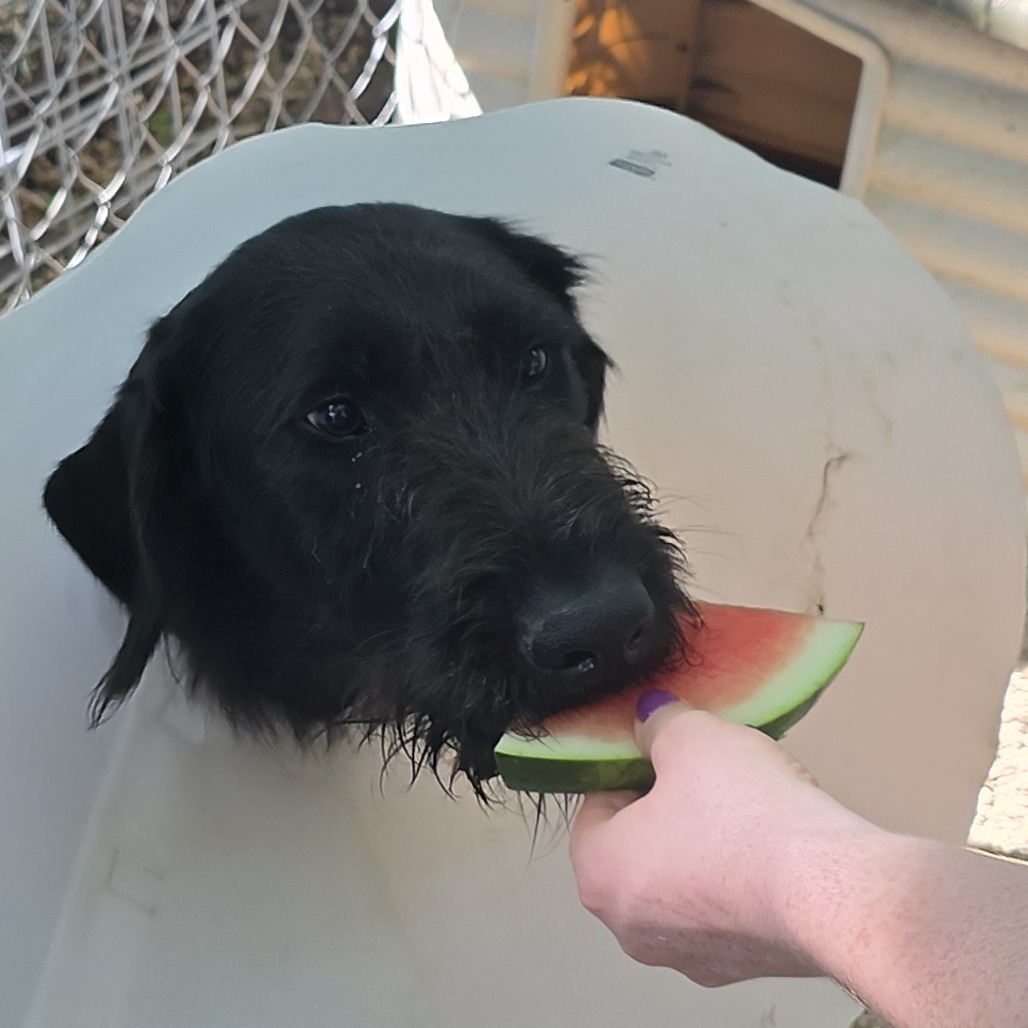 Ronan