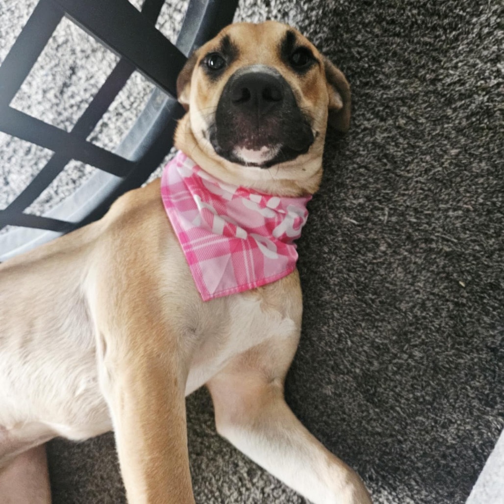 Oakley