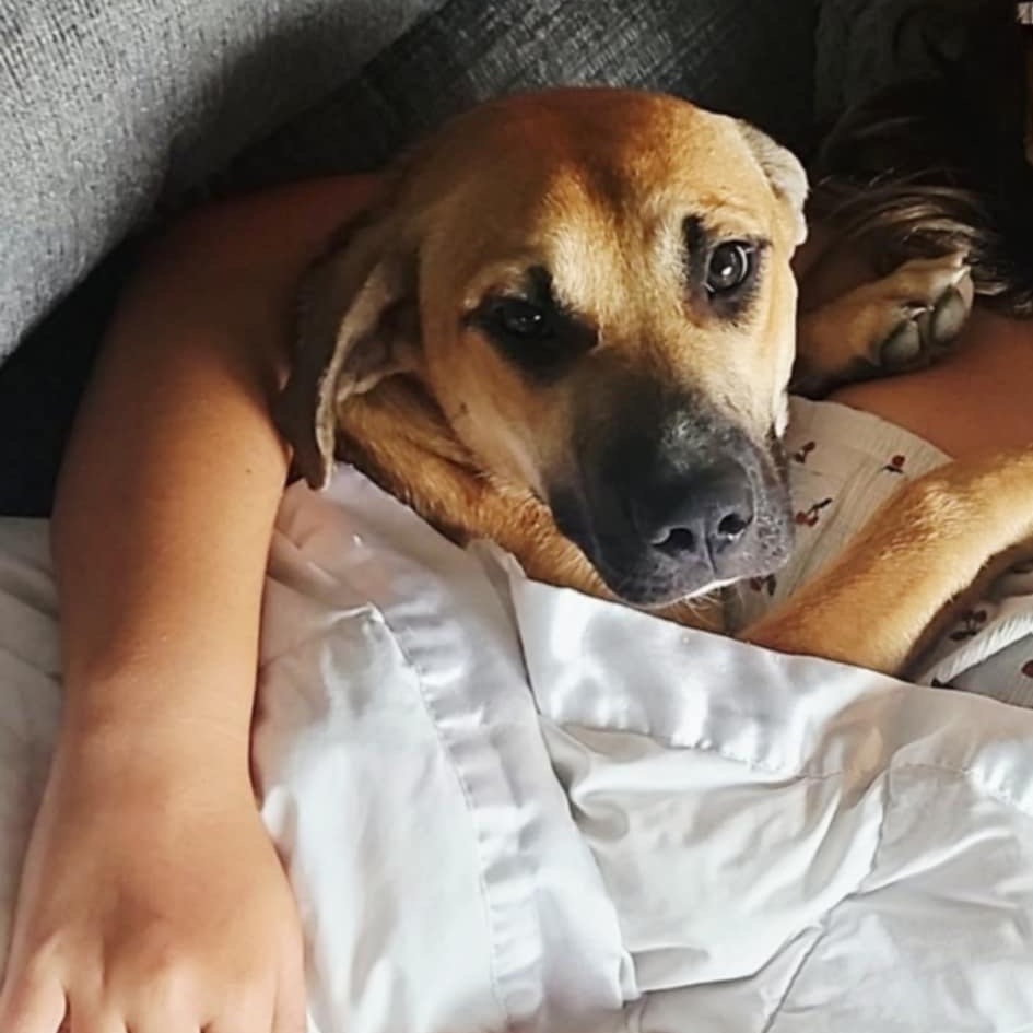 Oakley