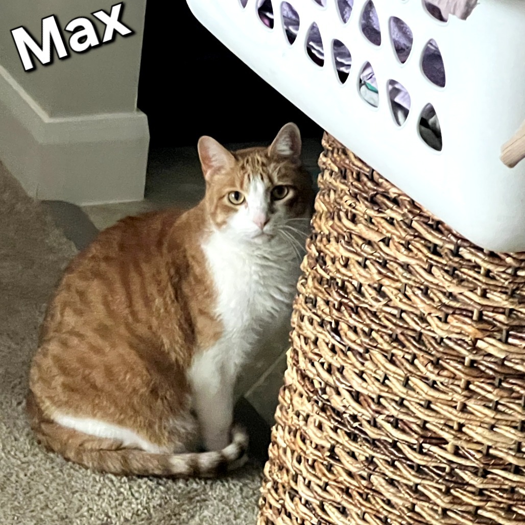 Max