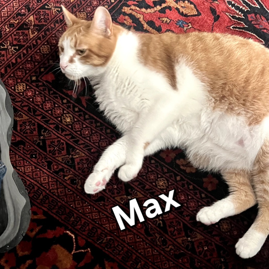 Max