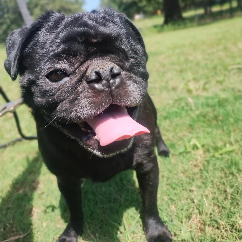 Winston