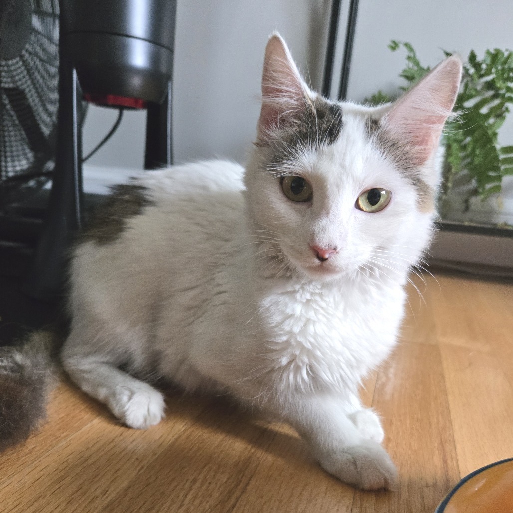 Luna (FKA Tina)
