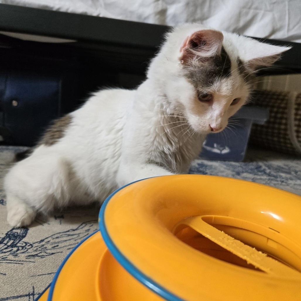Luna (FKA Tina)