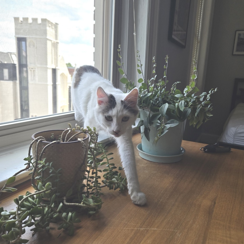 Luna (FKA Tina)