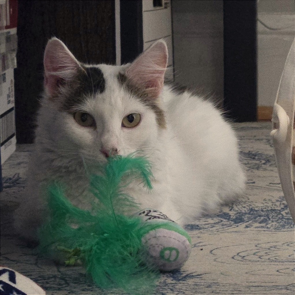 Luna (FKA Tina)