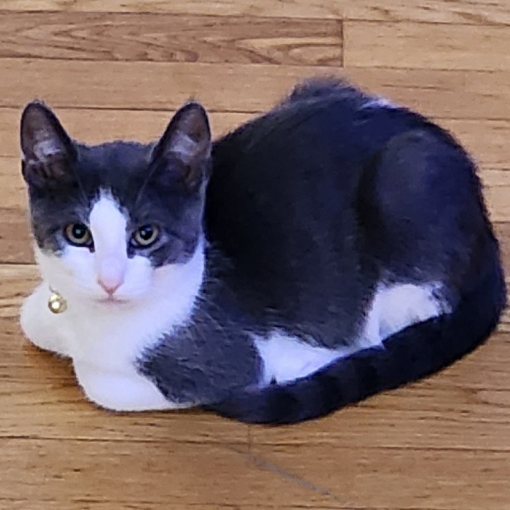 Buttercup London (sister of Blossom and Bubbles)