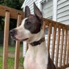 Lily photo 5