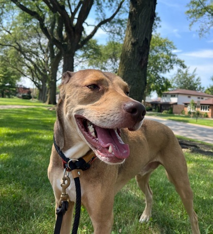 Finnegan