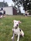 Hopper photo 4