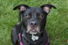 Roxy photo 1