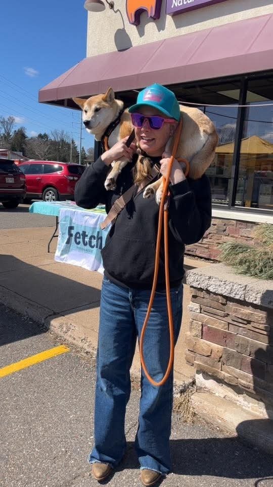 Tohru, an adoptable Shiba Inu in Wausau, WI, 54401 | Photo Image 6