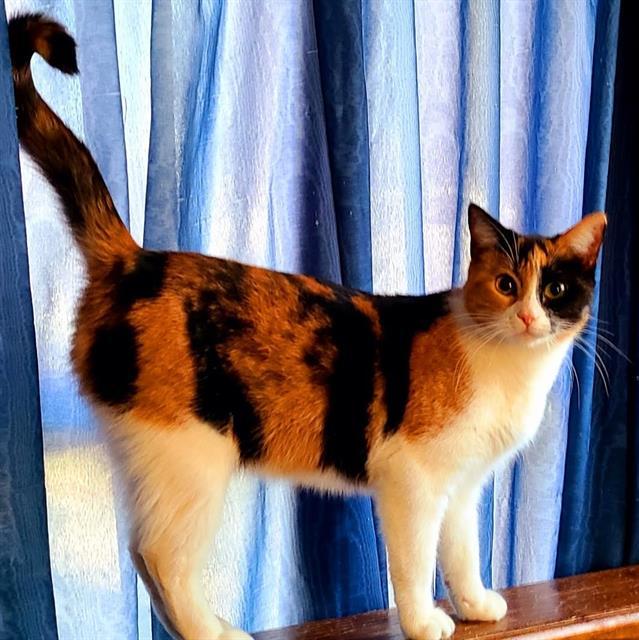 ELLY