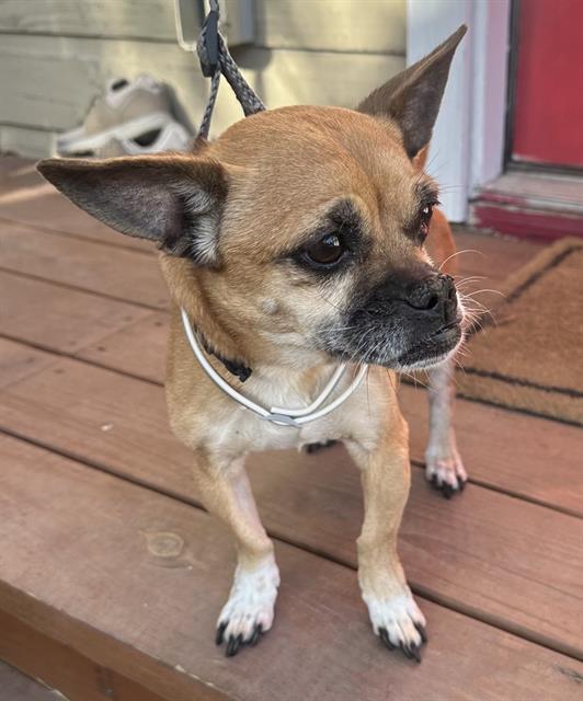 CHLOE