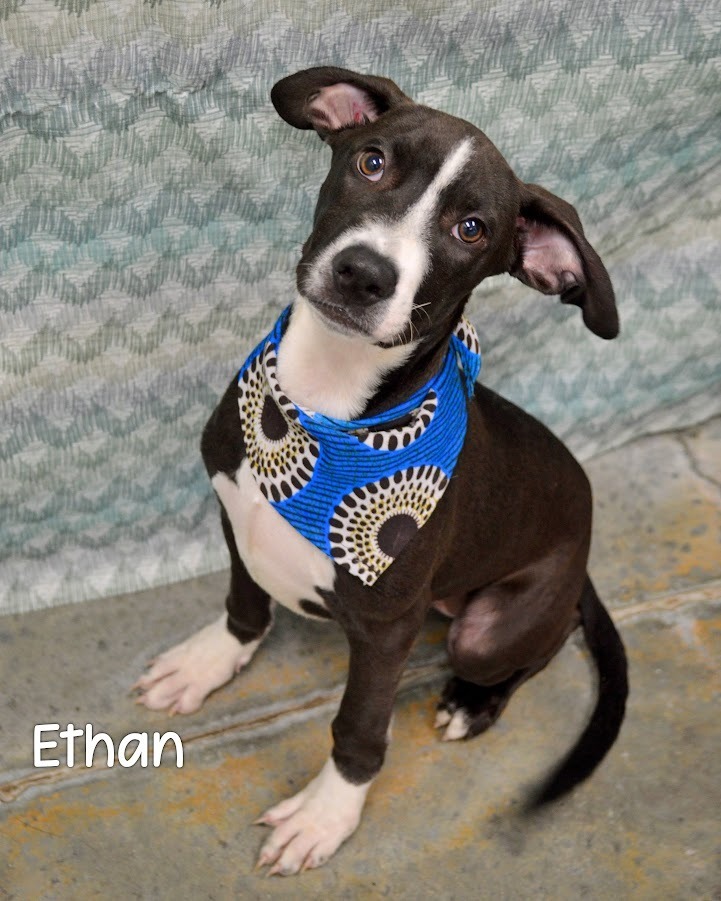Ethan