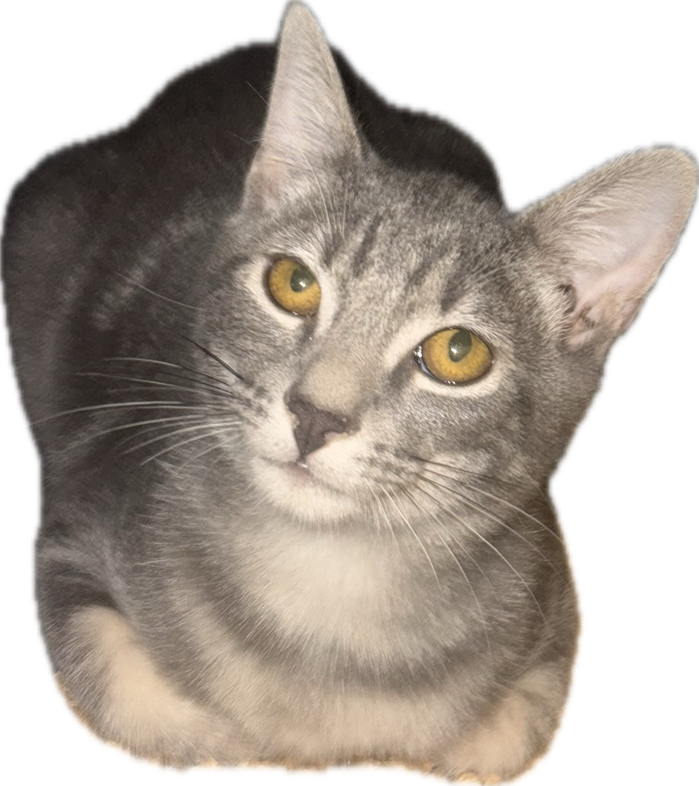 Prince