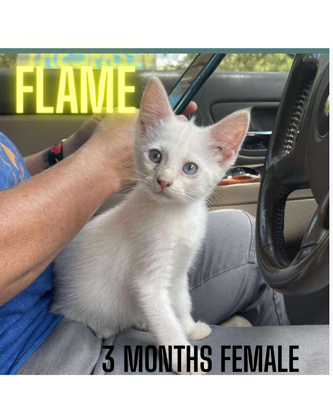 FLAME