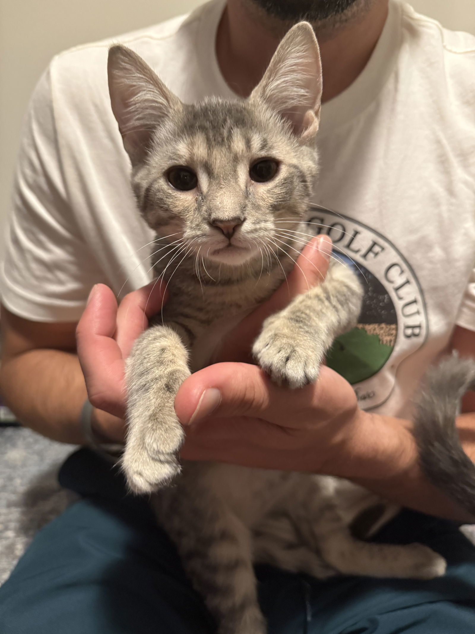 FARRAH