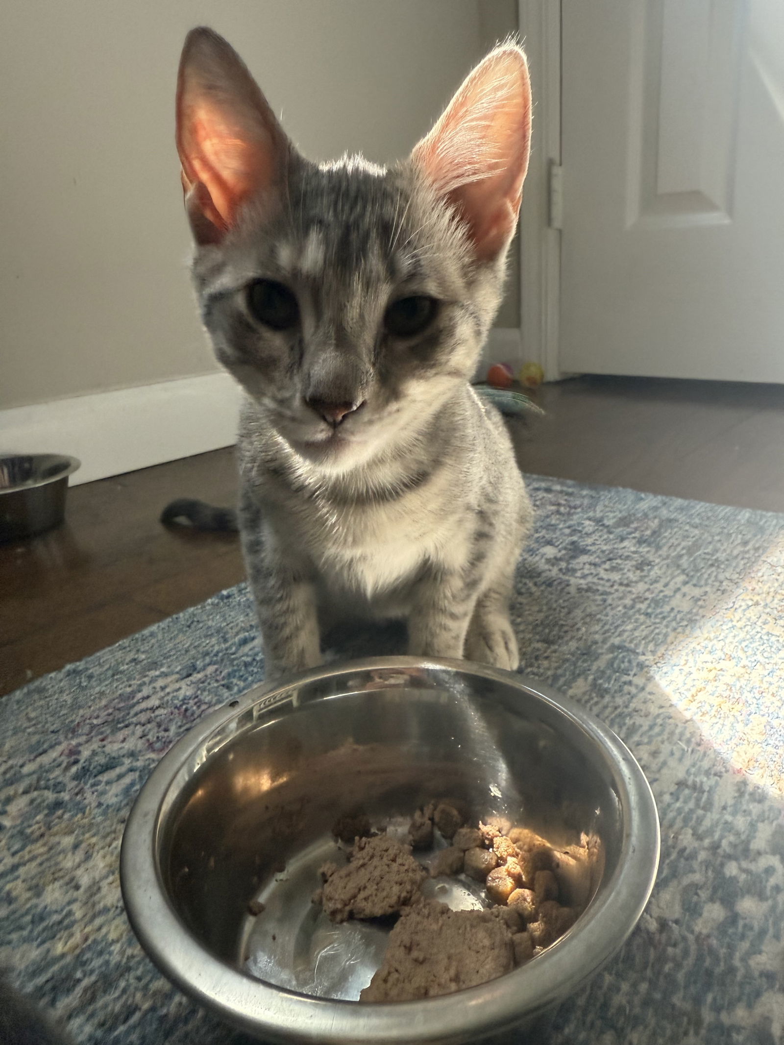FARRAH