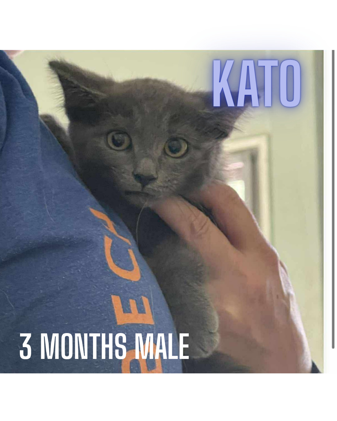 KATO