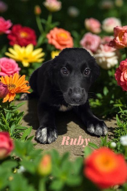 Ruby