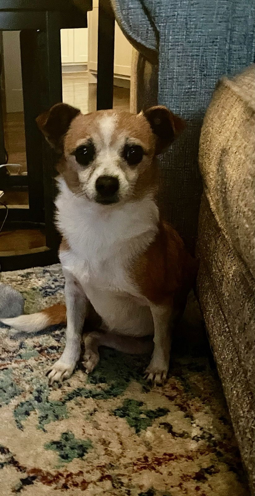 Bella